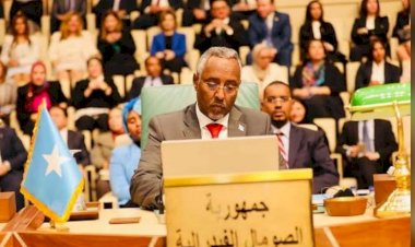 أستاذ علوم سياسية: الاجتماع العربي يؤكد حرص الدول العربية لاستقرار الصومال