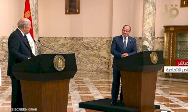 السيسي وتبون لقاء الأشقاء من أجل التعاون وتعزيز العلاقات