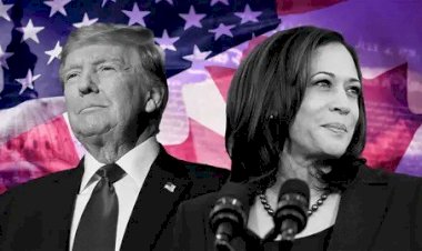 التصويت التفاضلي.. نظام جديد بالانتخابات الأمريكية.. فما هو؟