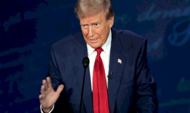 حقبة ترامب.. الرئيس الأمريكي المنتخب يبدأ في اختيار أعضاء حكومته الجدد