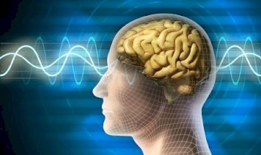 أداة أساسية في المطبخ خطر على البشر.. تُدمر الدماغ وخلايا المخ