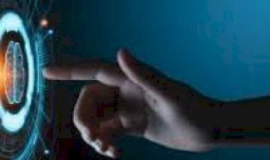 خطر صحي جديد.. مرض دماغي غامض يهدد مئات الأرواح في كندا.. ما القصة؟