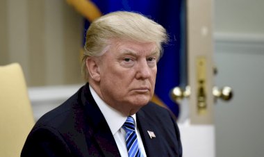 على رأسهم ترامب.. مليارديرات يقودون أمريكا من جديد