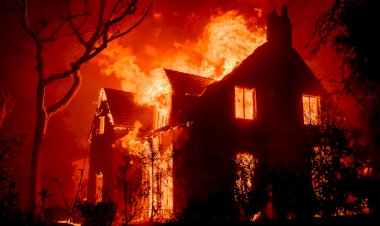 حرائق كاليفورنيا.. 10 أيام من الجحيم المستعر والخسائر المتزايدة