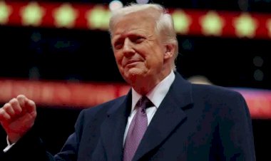 مستشار ترامب: مصر والأردن مطالبان باقتراح حل بديل لغزة