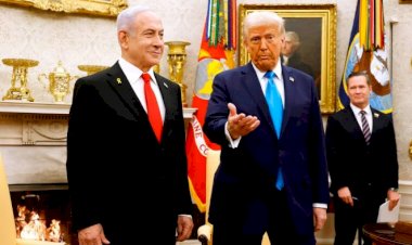 ترامب وهوس السيادة.. خطط السيطرة على غزة وغرينلاند وكندا وبنما