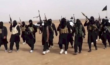 قطع المساعدات الأمريكية.. هل يفتح الباب أمام عودة داعش؟.. خبراء يجيبون