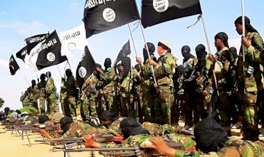 حركة الشباب .. آخر أذرع داعش في إفريقيا تواجه النهاية