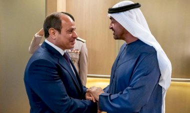 أبوظبي تحتضن قمة الأخوة.. السيسي والشيخ محمد بن زايد يبحثان سبل التهدئة في غزة وأمن المنطقة