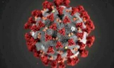 متحور نيمبوس يثير القلق العالمي.. عدوى أسرع من كورونا وأعراض مألوفة