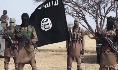 خبير في شؤون مكافحة الإرهاب: إفريقيا أصبحت ساحة مفتوحة لعودة التنظيمات المتطرفة