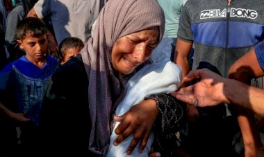 محلل سياسي فلسطيني: استمرار المجاعة في غزة نتيجة مباشرة لإطالة أمد الحرب والحصار