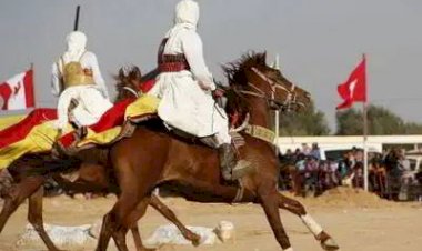 الخيول تروي قصة تراث.. تونس تفتتح الدورة 33 من المهرجان المغاربي للفروسية