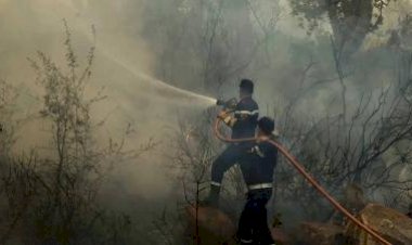 المغرب.. سباق مع الزمن لاحتواء أكبر حريق غابات هذا العام في شفشاون