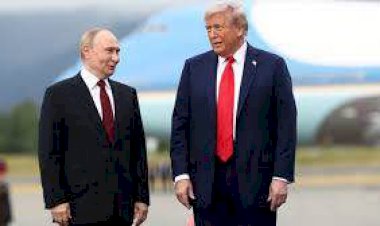 خبراء: تحركات ترامب خطوة جادة نحو إنهاء الحرب الأوكرانية