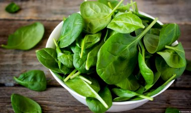 8 أطعمة خارقة تسرّع نمو الشعر وتحافظ على قوته