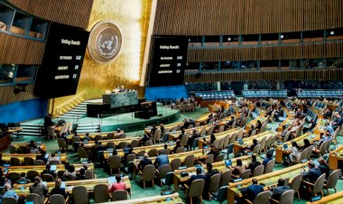 الأمم المتحدة تُصادق بأغلبية ساحقة على إقامة دولة فلسطينية.. التفاصيل الكاملة