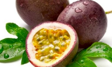 اكتشف كنز الفيتامينات والمعادن في فاكهة الباشون فروت