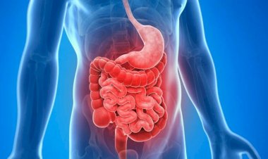 القولون العصبي.. الدليل الشامل لفهم الأعراض والأنواع