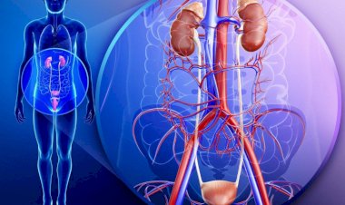 الأعراض والأسباب وطرق العلاج.. دليل شامل للتعامل مع التهاب المسالك البولية