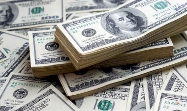 أسعار العملات العربية أمام الدولار الأربعاء 1 أكتوبر