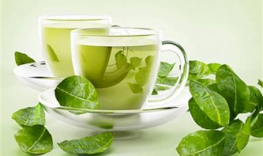 الشاي الأخضر للتنحيف.. مشروب طبيعي يدعم الرشاقة