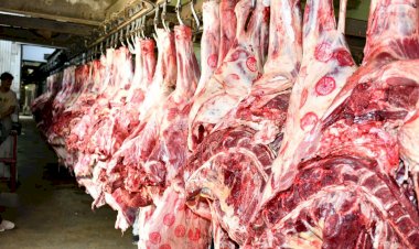 التغذية المستدامة.. دعوة لتقليل اللحوم وزيادة الأطعمة النباتية