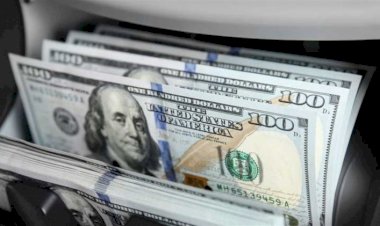 أسعار العملات العربية أمام الدولار الأحد 5 أكتوبر