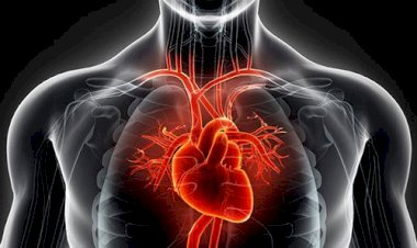 النوبة القلبية.. خطر صامت يمكن الوقاية منه