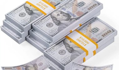 أسعار العملات العربية أمام الدولار الأربعاء 8 أكتوبر