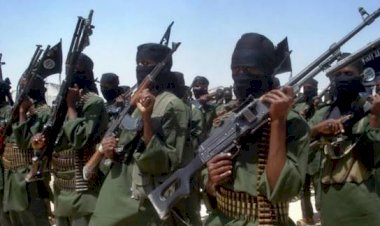 خبير في شؤون الجماعات الإرهابية: الضربات الأخيرة ضد حركة شباب المسلمين بالصومال تؤكد انهيارها التنظيمي