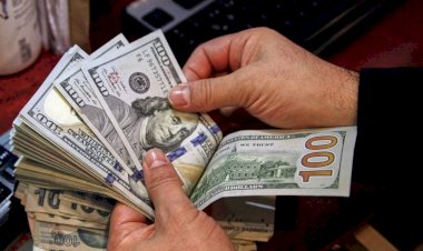 أسعار العملات العربية أمام الدولار السبت 11 أكتوبر