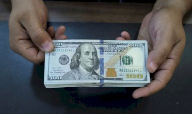 سعر الدولار,أسعار العملات العربية اليوم الإثنين 13 أكتوبر