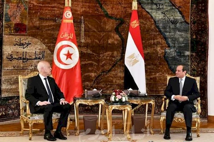أثنت على زيارة قيس للقاهرة..  محللة تونسية: انتظرنا هذه الخطوة ونتطلع لمخرجاتها