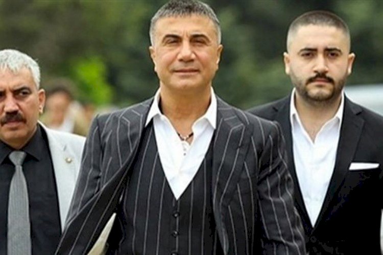 تسريبات زعيم المافيا تفجر صراعات بالعدالة والتنمية وأردوغان ينتقم من المعارضة