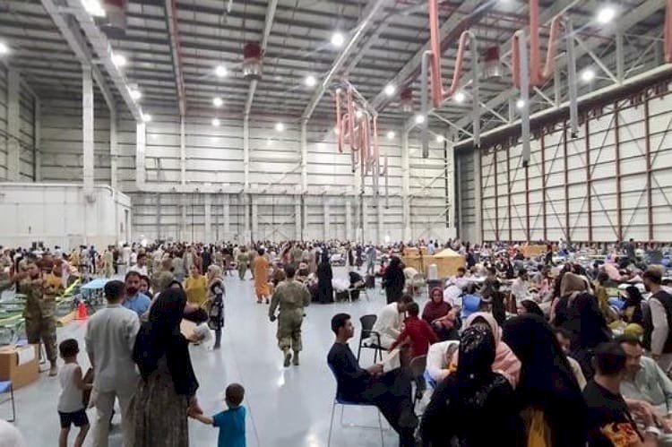 تناقض قطر.. الدوحة تقدم الترف لمسؤولي طالبان والمعاناة للاجئين الأفغان