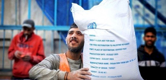 بوصول 12 قافلة.. شمال غزة يتذوق الطحين بفرح لأول مرة منذ 4 أشهر