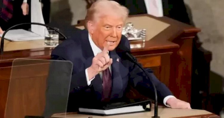 محمود خليل.. قضية ترحيل تُشعل جدلًا حول حرية التعبير في الولايات المتحدة