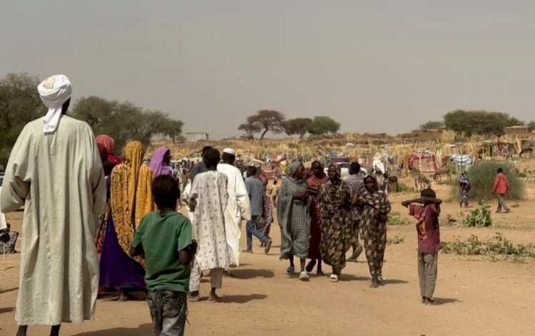 في عيد الأضحى.. دارفور تشهد أسوأ أزمة إنسانية في العالم والمجاعة تطارد الجميع