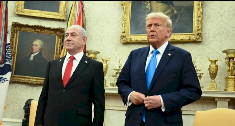 ترامب: هدنة مؤقتة في غزة لمدة 60 يومًا.. وردّ قاسٍ على حماس