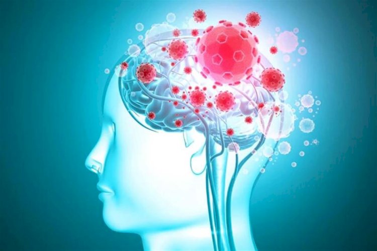 الالتهاب السحائي.. الخطر الصامت حول الدماغ والنخاع الشوكي