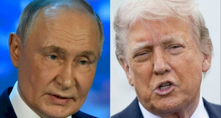 فايننشال تايمز: قمة مرتقبة بين بوتين وترامب تثير جدلاً دوليًا واسعًا