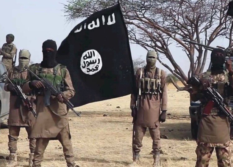 محلل سياسي سوري: منطقة إدلب والشمال السوري باتت مأوى لعدد من المقاتلين الأجانب