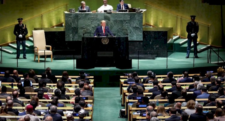 بينها مصر والإمارات.. ترامب يستعد لعقد قمة مع الزعماء العرب في نيويورك