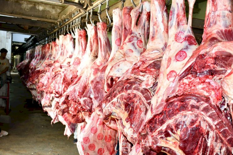 التغذية المستدامة.. دعوة لتقليل اللحوم وزيادة الأطعمة النباتية