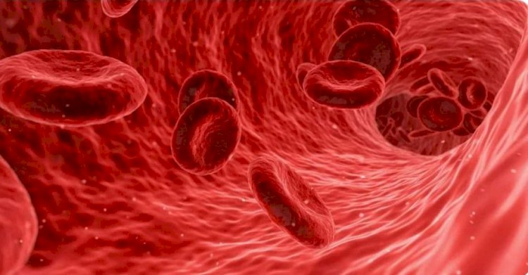 تأثير كبير على أجهزة الجسم.. تعرف على أضرار نقص الحديد في الجسم